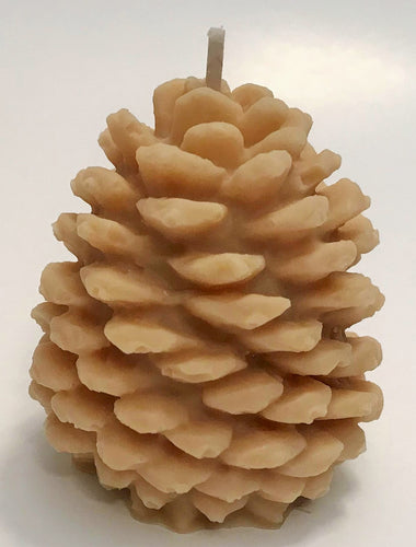 Pine Cone