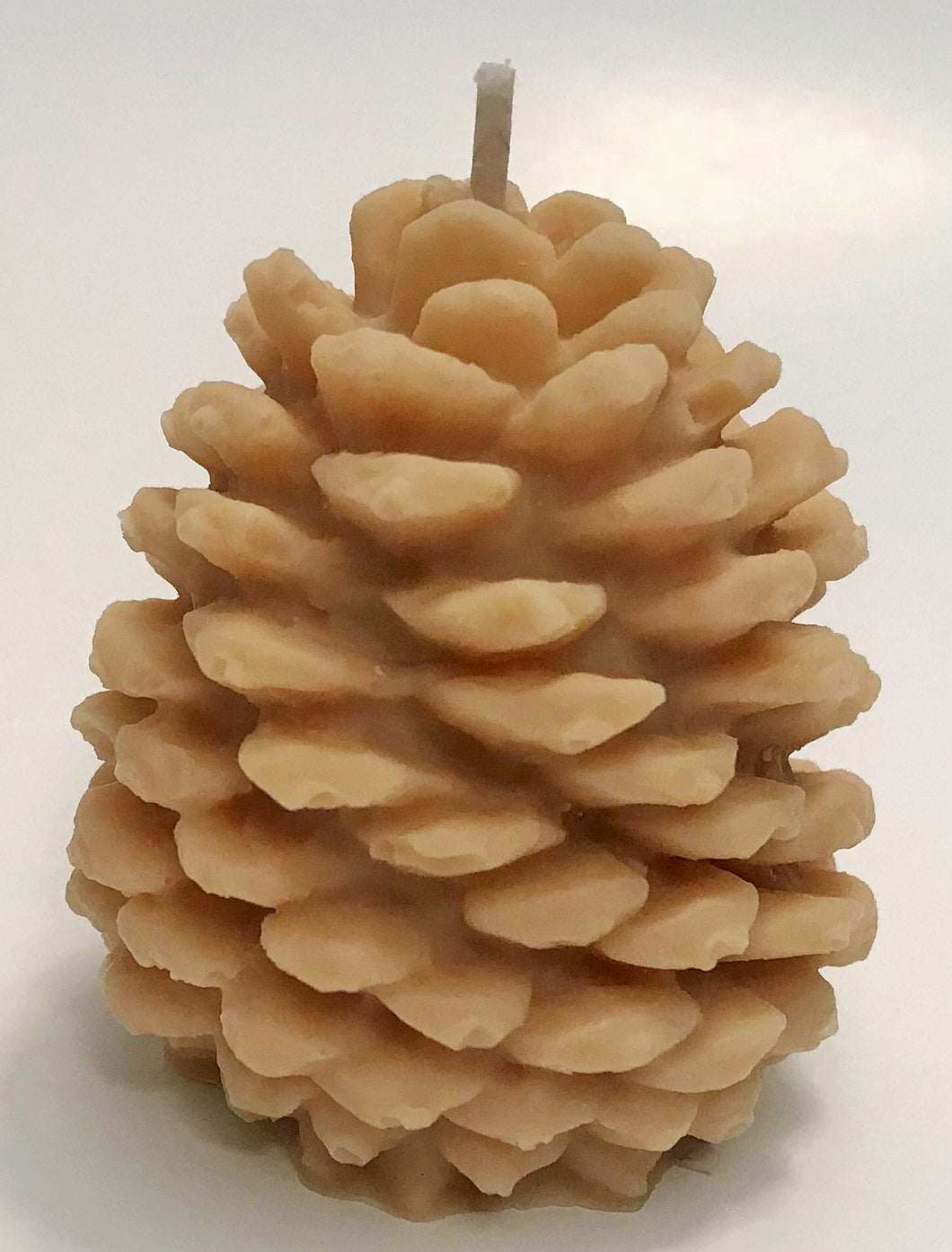 Pine Cone