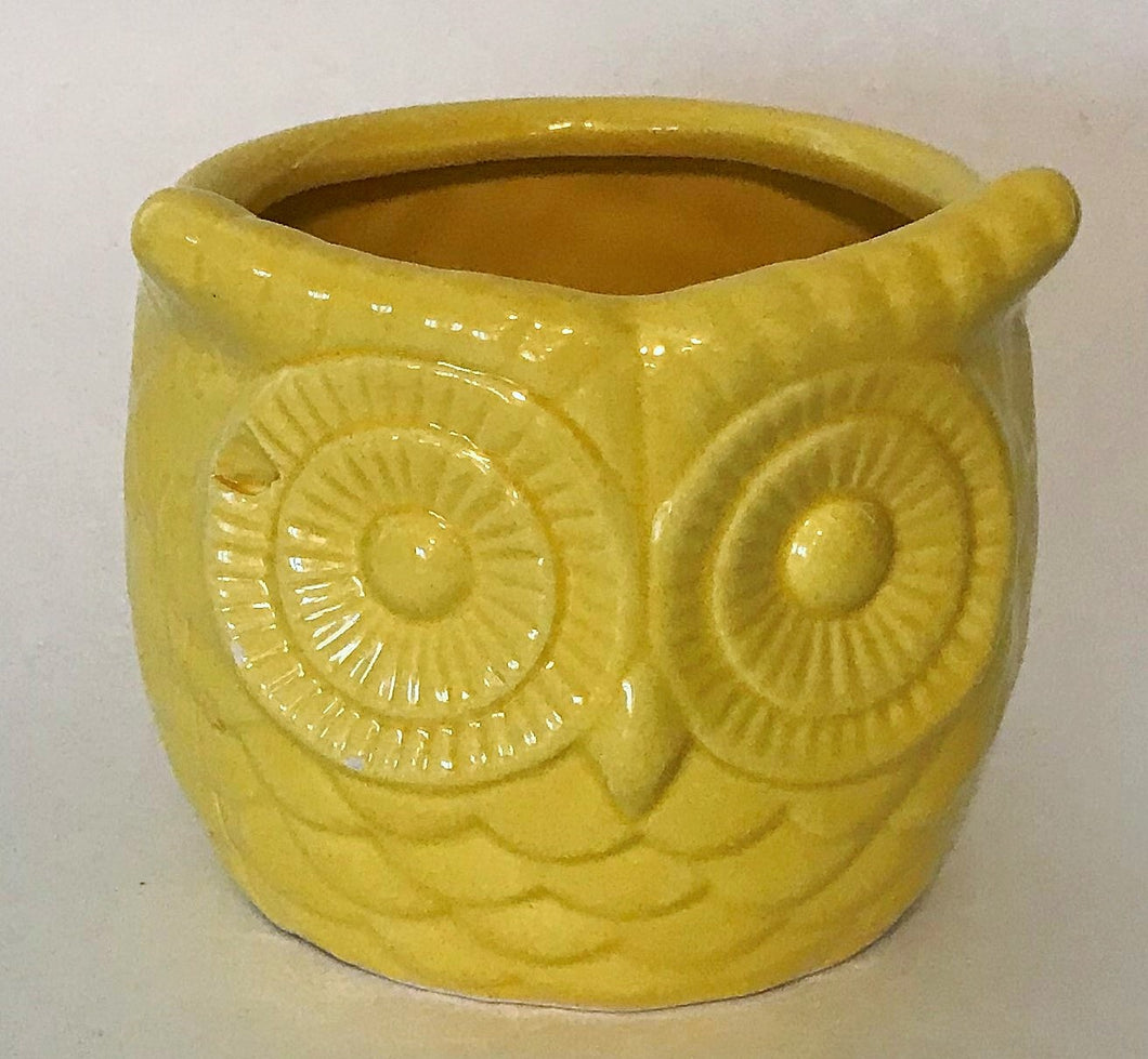 Owl Planter
