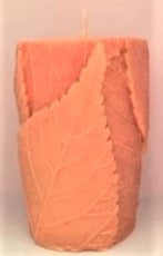 Leaf Pillar